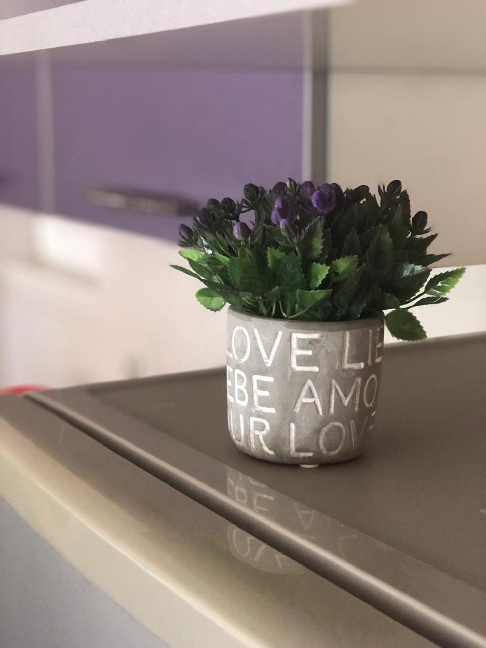 Apartmán Apartman Ivana Novi Sad Exteriér fotografie